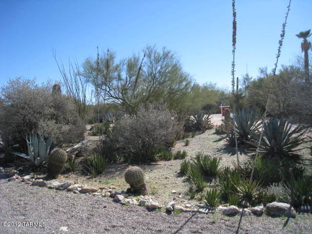3125 E Via Celeste, Tucson, AZ 85718 photo 5
