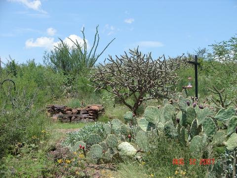 17130 E Marsh Station Rd, Vail, AZ 85641 photo 2