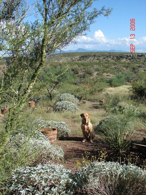 17130 E Marsh Station Rd, Vail, AZ 85641 photo 18
