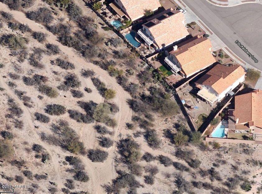 10254 E Buffaloberry Loop, Tucson, AZ 85748 photo 19