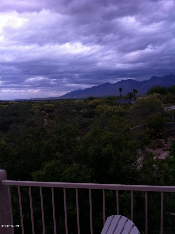 10254 E Buffaloberry Loop, Tucson, AZ 85748 photo 12