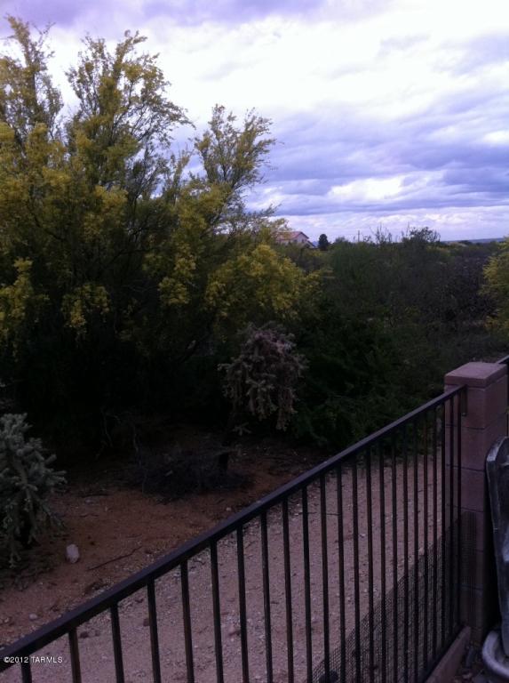 10254 E Buffaloberry Loop, Tucson, AZ 85748 photo 17