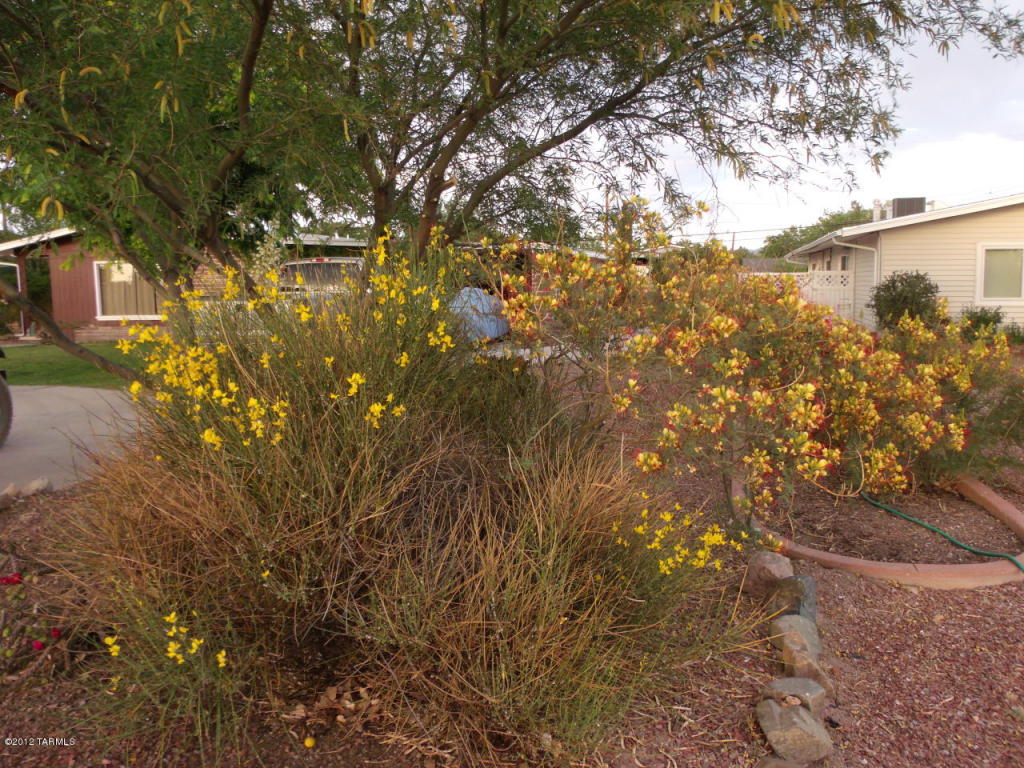 427 N Bisbee Ave, Willcox, AZ 85643 photo 2