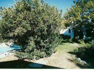 1332 E Hampton St, Tucson, AZ 85719 photo 8