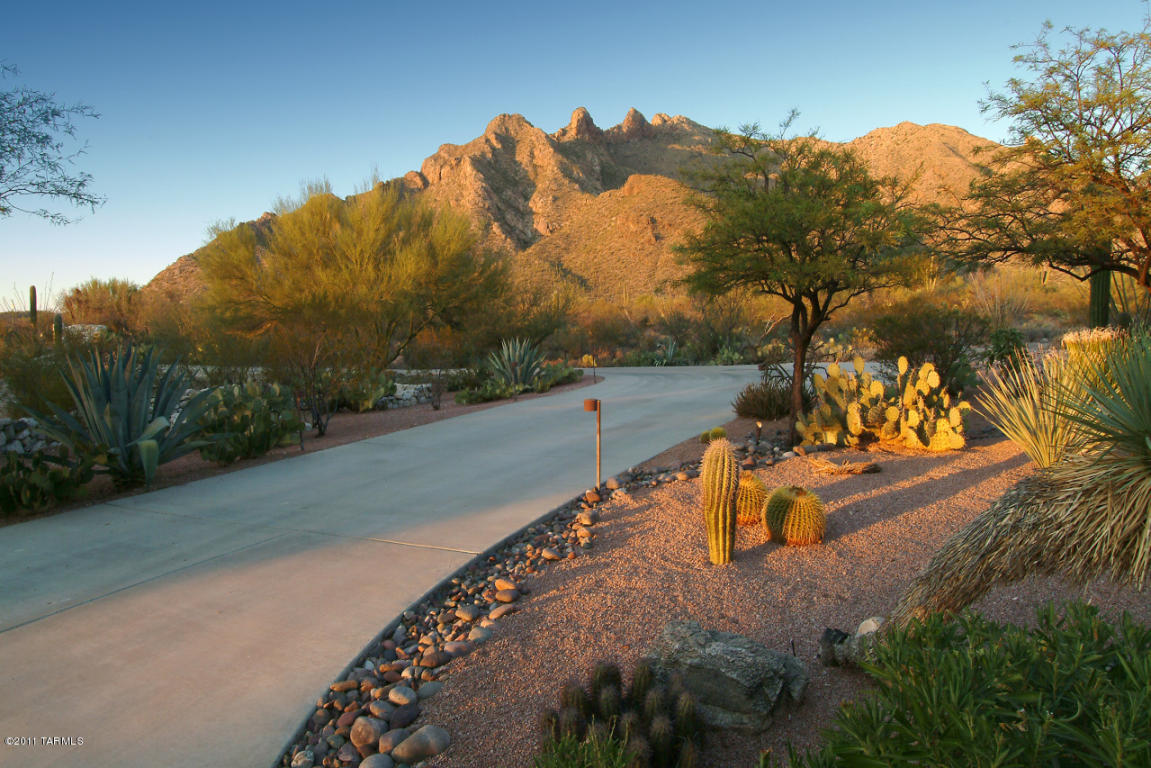 820 E Magee Rd, Tucson, AZ 85718 photo 3
