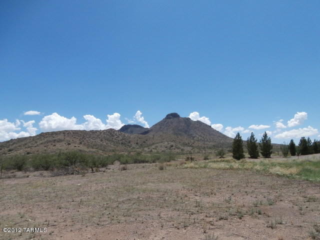 4455 E Highway 80, Douglas, AZ 85607 photo 7