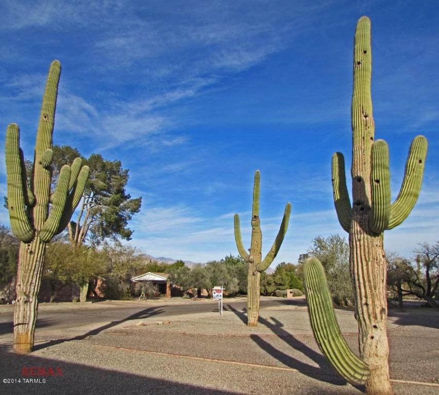 1930 E Lind Rd, Tucson, AZ 85719 photo 8