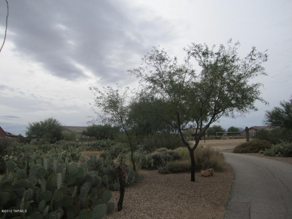 9357 S Via Bandera, Vail, AZ 85641 photo 33