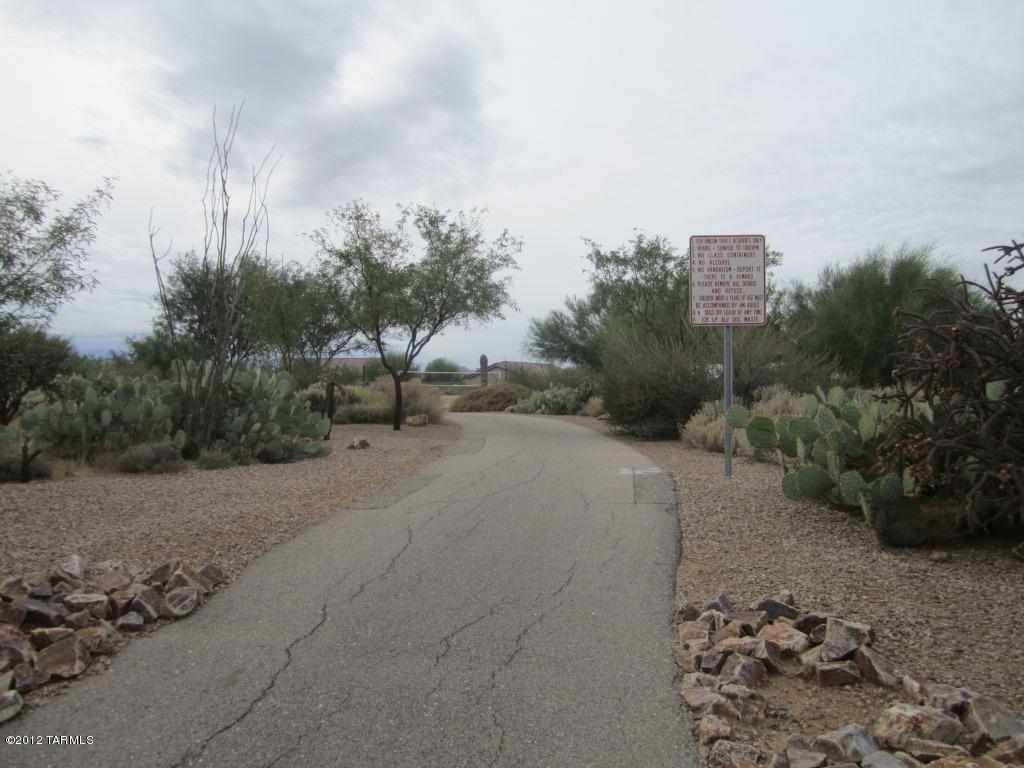9357 S Via Bandera, Vail, AZ 85641 photo 23