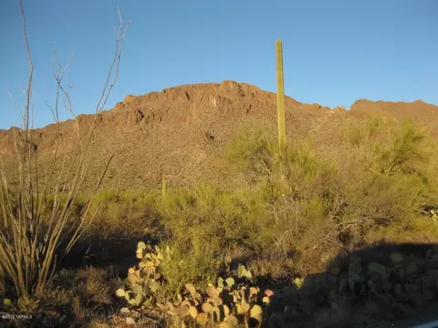 2380 S Triangle X Ln, Tucson, AZ 85713 photo 16