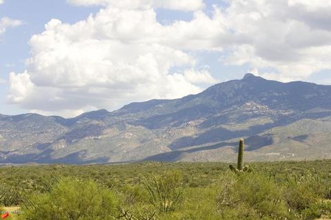 14645 E Circle Q Ranch Pl, Vail, AZ 85641 photo 21