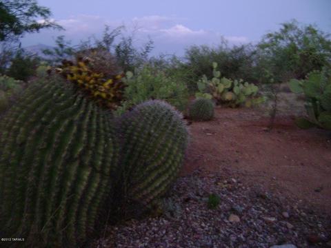 14645 E Circle Q Ranch Pl, Vail, AZ 85641 photo 6