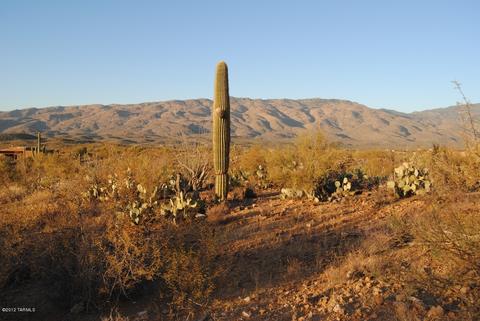 14645 E Circle Q Ranch Pl, Vail, AZ 85641 photo 8