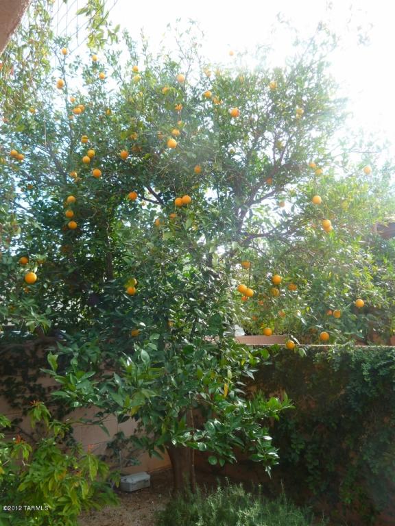 5152 E Circulo Las Cabanas, Tucson, AZ 85711 photo 29