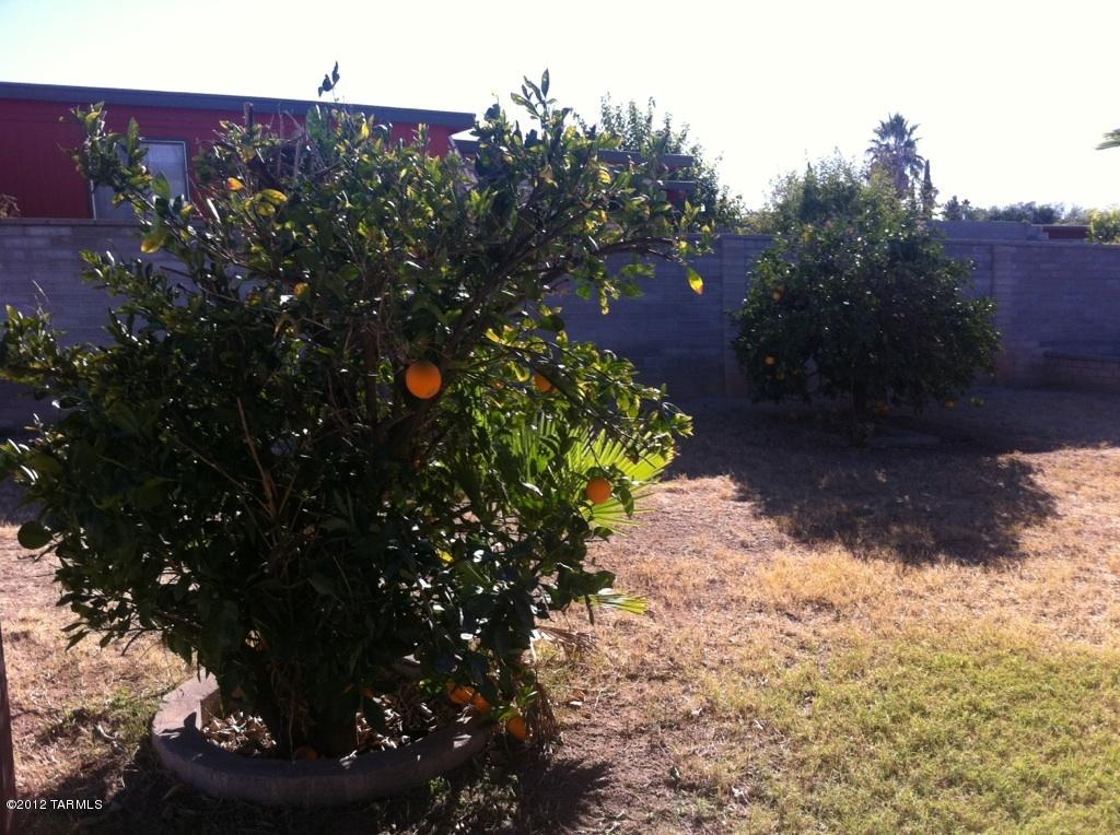 9356 E 5th St, Tucson, AZ 85710 photo 29