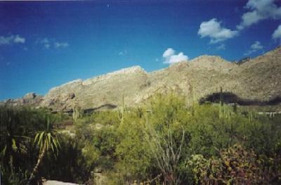 4254 E Allison Rd, Tucson, AZ 85712 photo 12