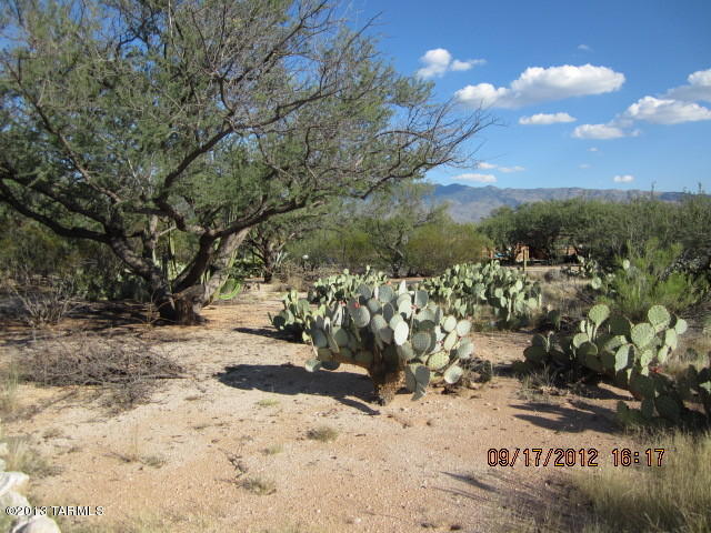 11101 E Quick Draw Pl, Tucson, AZ 85749 photo 24