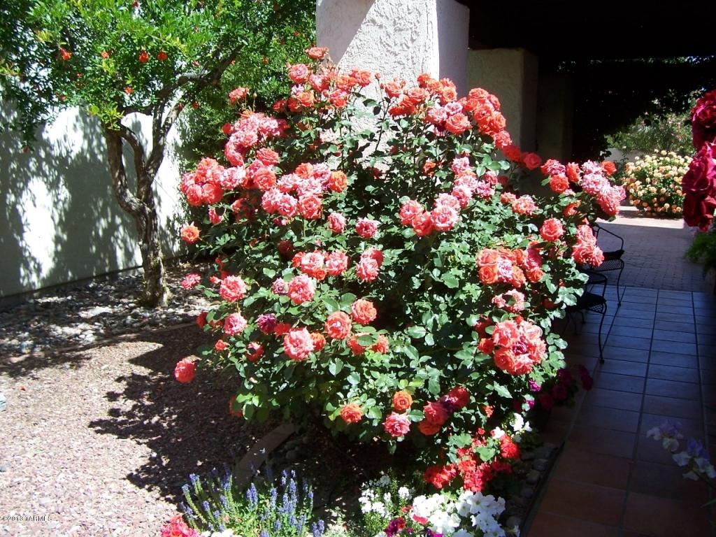 7325 E Cascada Cir, Tucson, AZ 85715 photo 37
