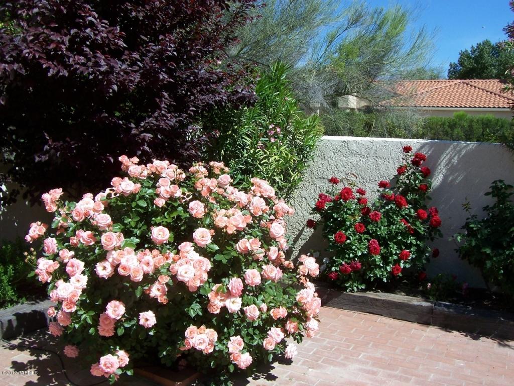 7325 E Cascada Cir, Tucson, AZ 85715 photo 40