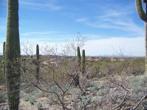 15573 E Hat Creek Ranch Pl, Vail, AZ 85641 photo 5