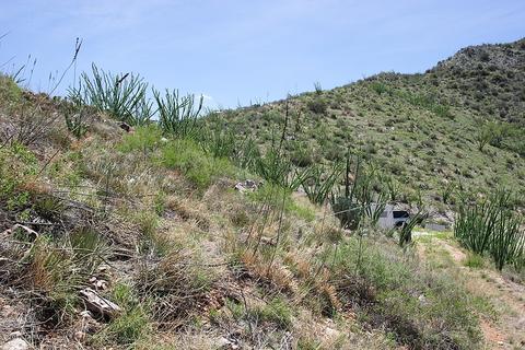 16150 E Hillton Ranch Rd, Vail, AZ 85641 photo 6