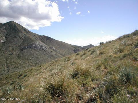 16150 E Hillton Ranch Rd, Vail, AZ 85641 photo 3