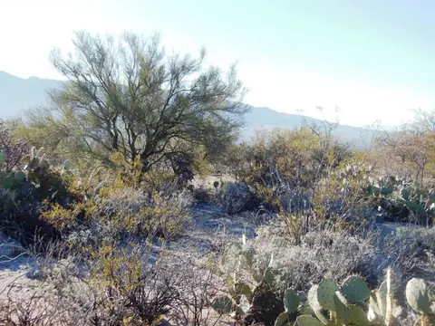 13220 E Deep Well Rd, Tucson, AZ 85749 photo 2