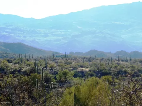 13220 E Deep Well Rd, Tucson, AZ 85749 photo 6