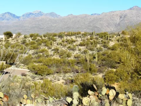 13220 E Deep Well Rd, Tucson, AZ 85749 photo 1