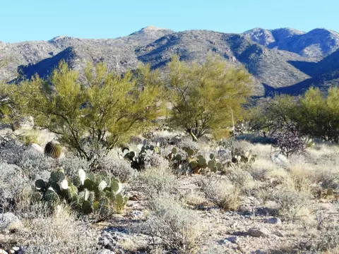 13220 E Deep Well Rd, Tucson, AZ 85749 photo 3