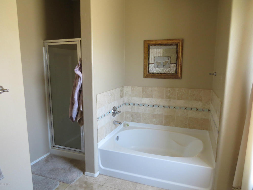 10675 S Silverbluff Dr, Vail, AZ 85641 photo 12