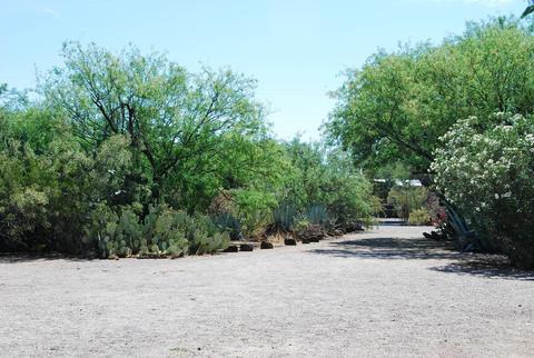 3108 E Pima St, Tucson, AZ 85716 photo 16