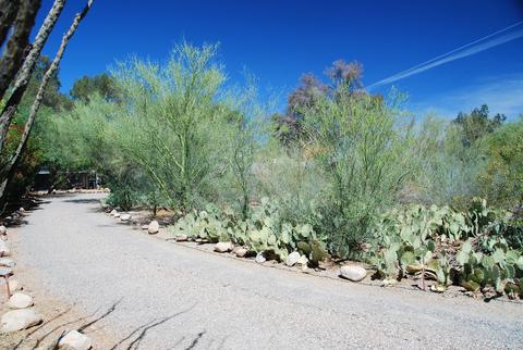 3108 E Pima St, Tucson, AZ 85716 photo 3