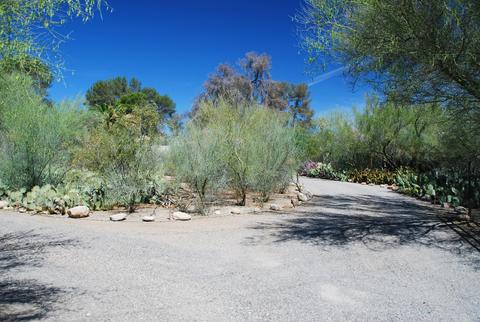 3108 E Pima St, Tucson, AZ 85716 photo 5