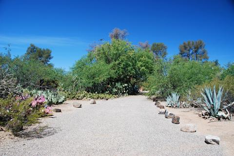 3108 E Pima St, Tucson, AZ 85716 photo 2
