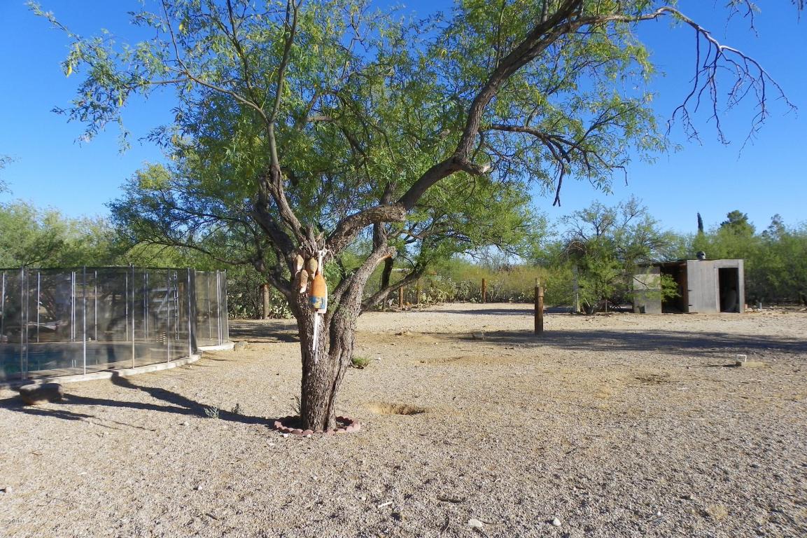 9522 E Walnut Tree Dr, Tucson, AZ 85749 photo 15