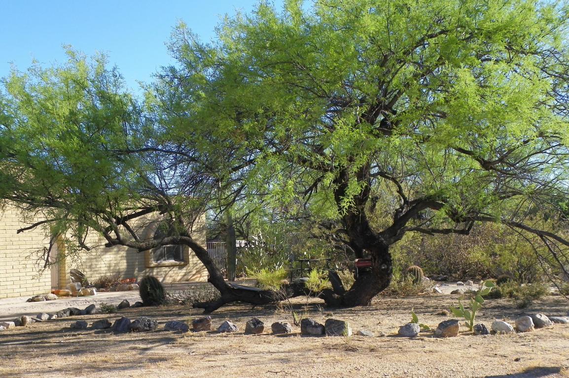 9522 E Walnut Tree Dr, Tucson, AZ 85749 photo 2