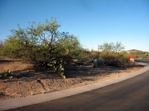15278 E Tumbling W Ranch Pl, Vail, AZ 85641 photo 3