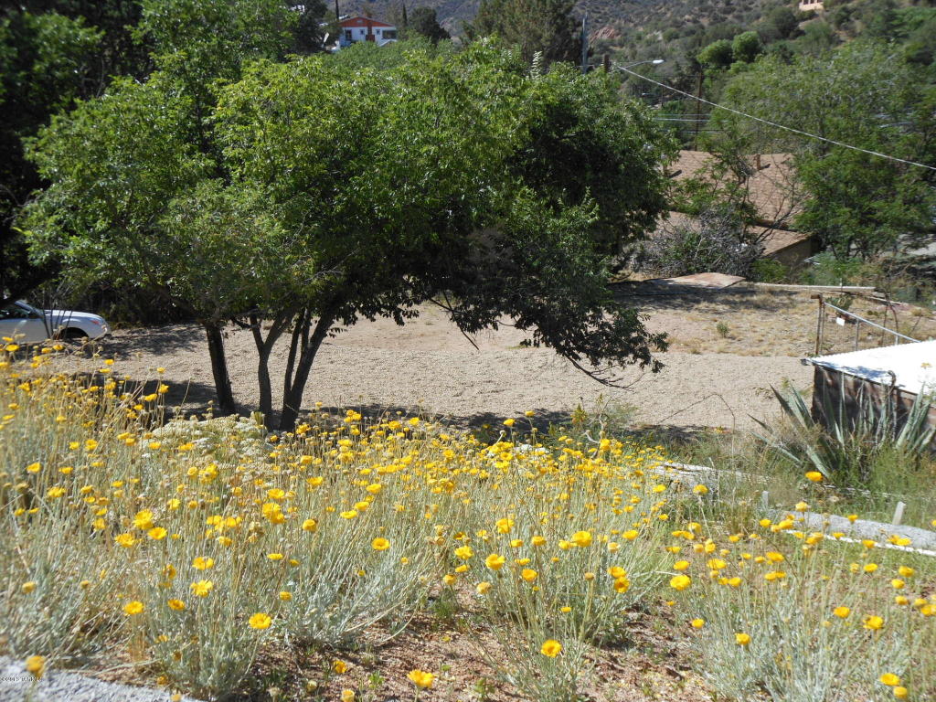 6 Locklin Ave, Bisbee, AZ 85603 photo 15