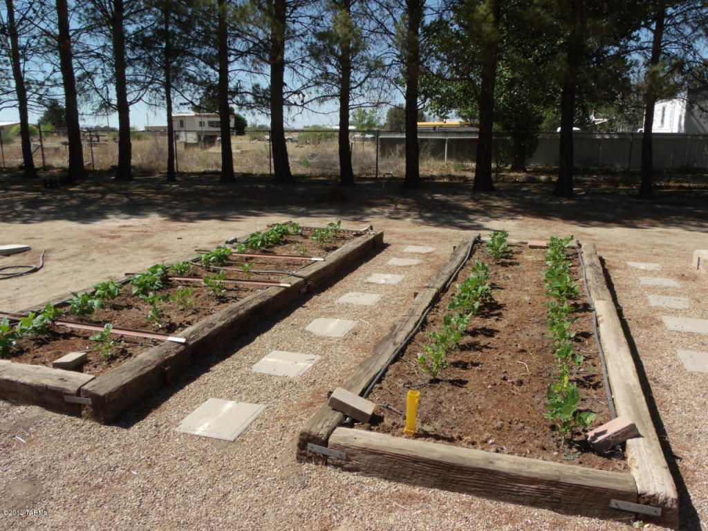 623 N Wells Ln, Willcox, AZ 85643 photo 4
