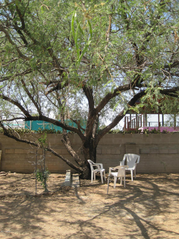 4342 E 16th St, Tucson, AZ 85711 photo 6