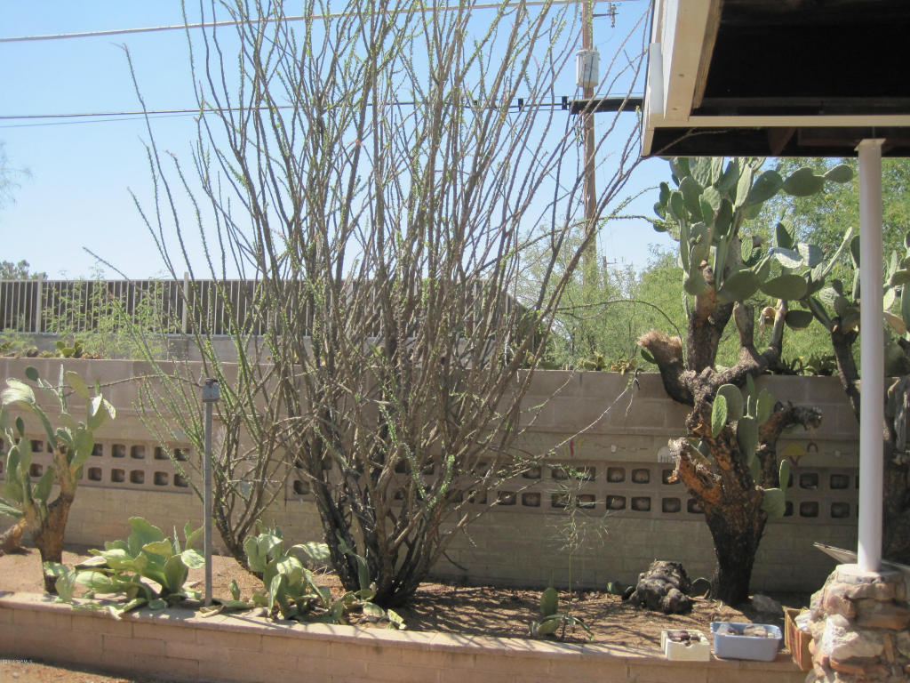 4342 E 16th St, Tucson, AZ 85711 photo 7