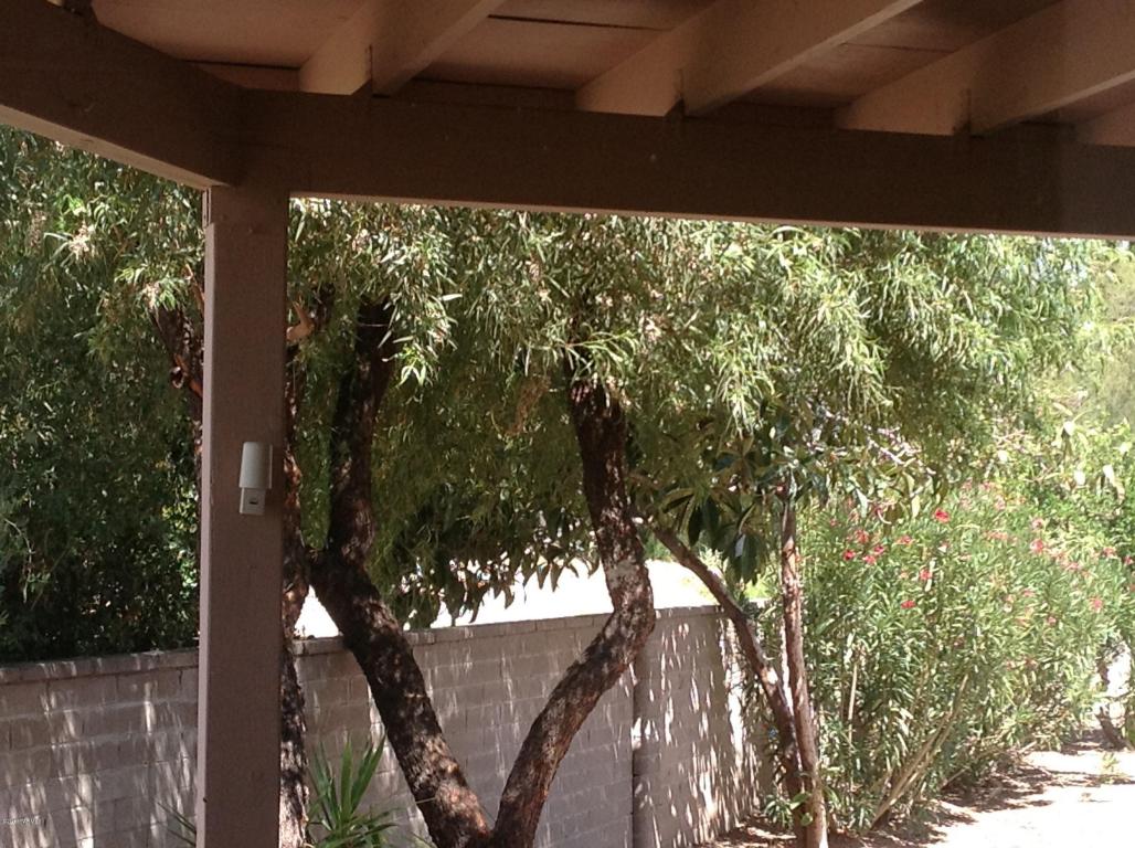8915 E Maple Leaf Dr, Tucson, AZ 85710 photo 7