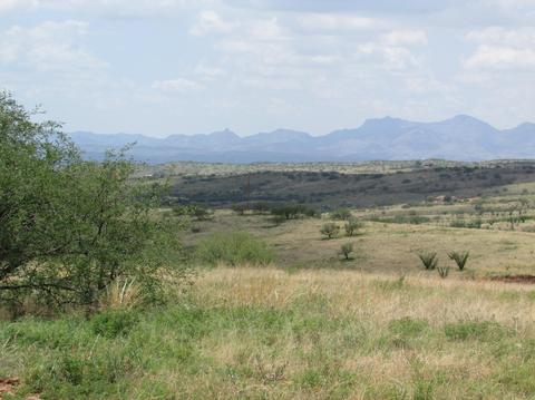 50 Lado De Loma, Patagonia, AZ 85624