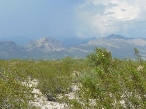 8451 E Cloud Rd, Tucson, AZ 85750 photo 6