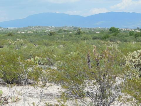 8451 E Cloud Rd, Tucson, AZ 85750 photo 5