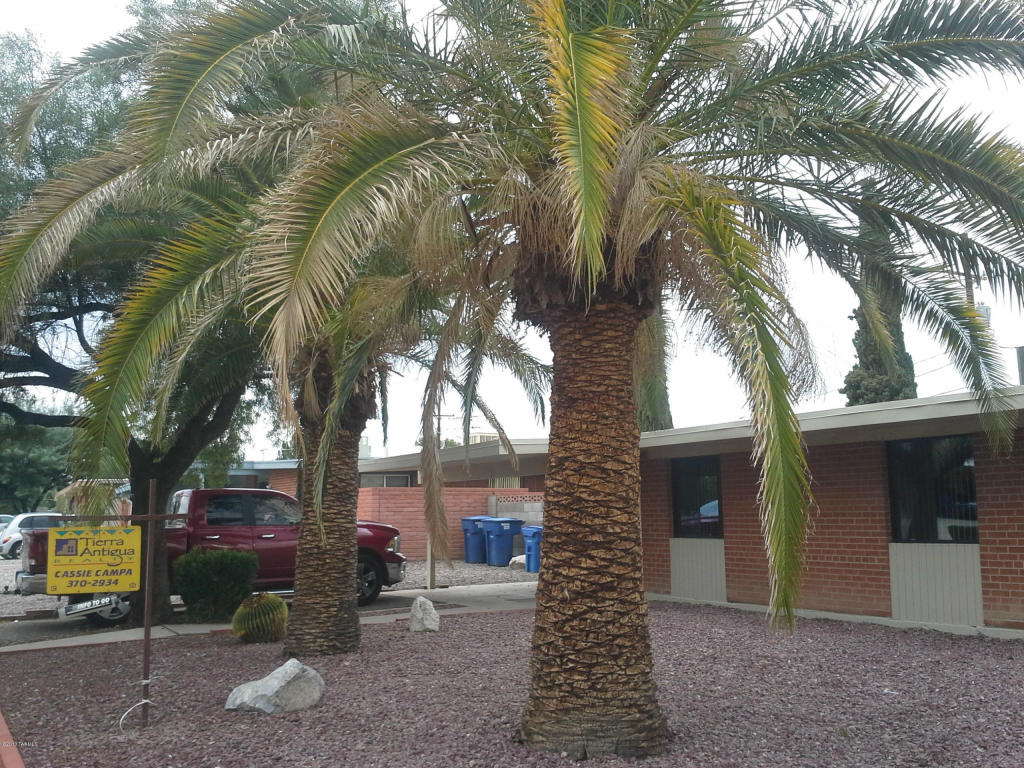 8137 E Baker Dr, Tucson, AZ 85710 photo 21