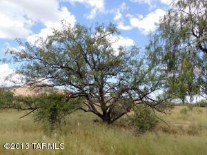 732 W Bryant St, Pearce, AZ 85625 photo 18