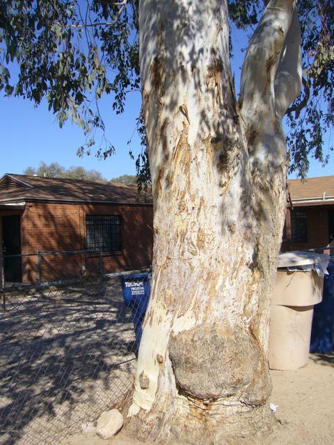 4549 E 20th St, Tucson, AZ 85711 photo 5