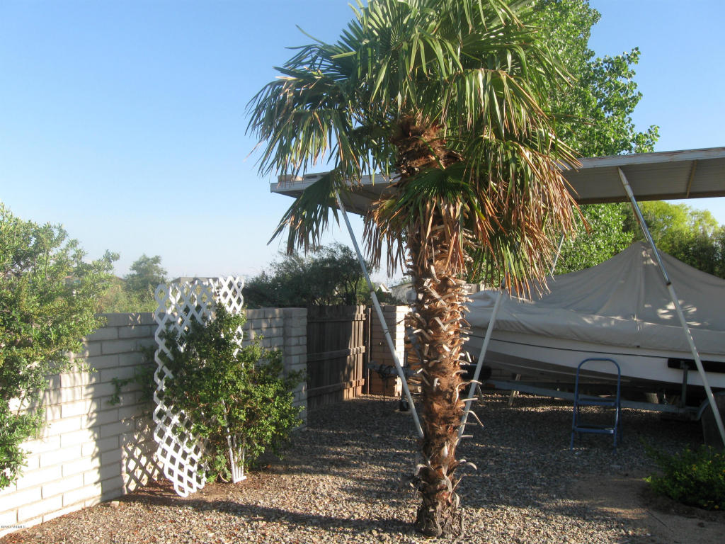903 W Palomas St, Willcox, AZ 85643 photo 20
